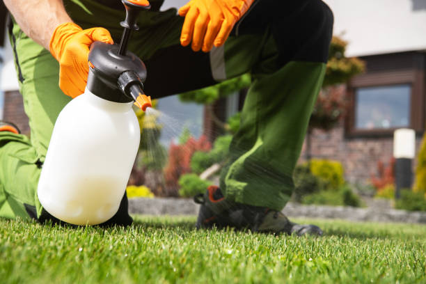 Best Pest Removal Services  in Indian Mountain Lake, PA
