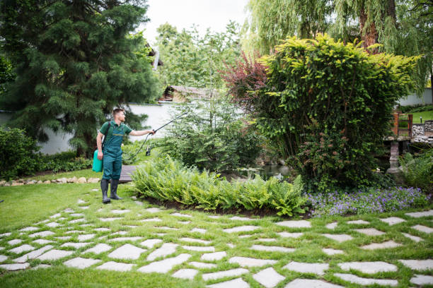 Best Pest Inspection Near Me  in Indian Mountain Lake, PA