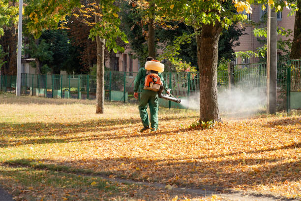 Best Wasp Removal Services  in Indian Mountain Lake, PA